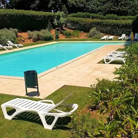 Da Rocha Flamingo Summer Portimão