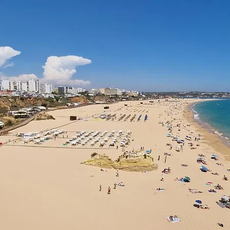 Da Rocha Flamingo Summer *